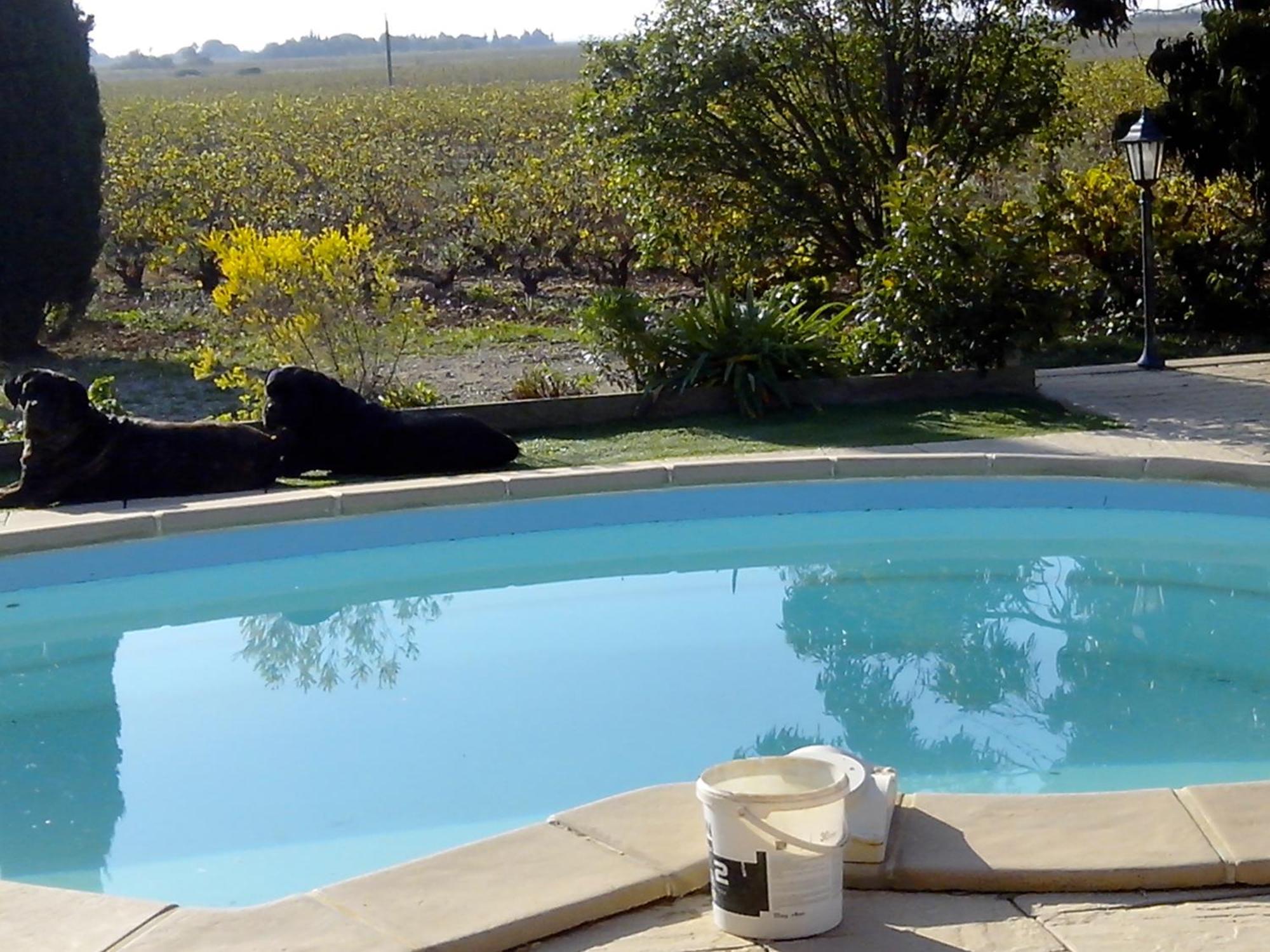 Mas Soleil Et Vignes Bed & Breakfast Saint-Hippolyte  Ngoại thất bức ảnh